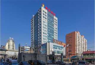 徐汇区步步高发财树租赁价格