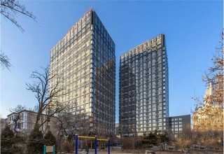 广东简约风宠物服装加工多少钱